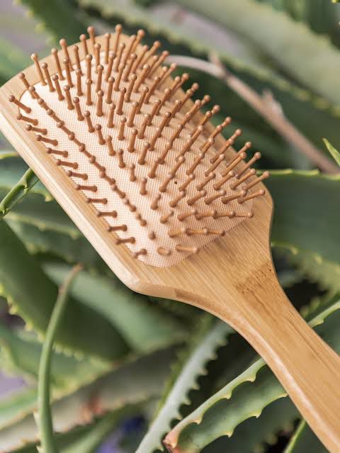 Eco Bamboo Brush